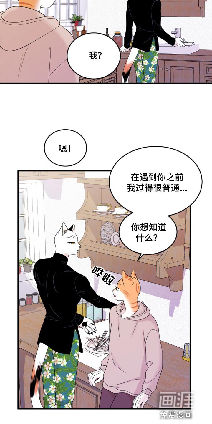 第71章：【第二季】妙鱼钥匙扣