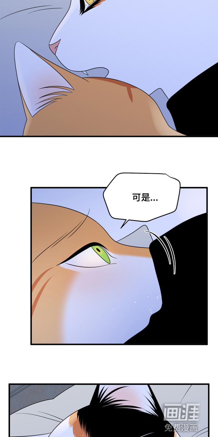 第72章：【第二季】约定