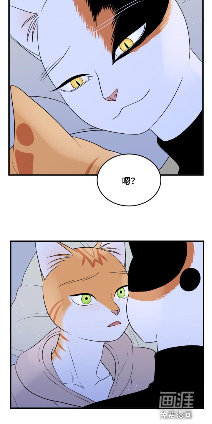 第72章：【第二季】约定