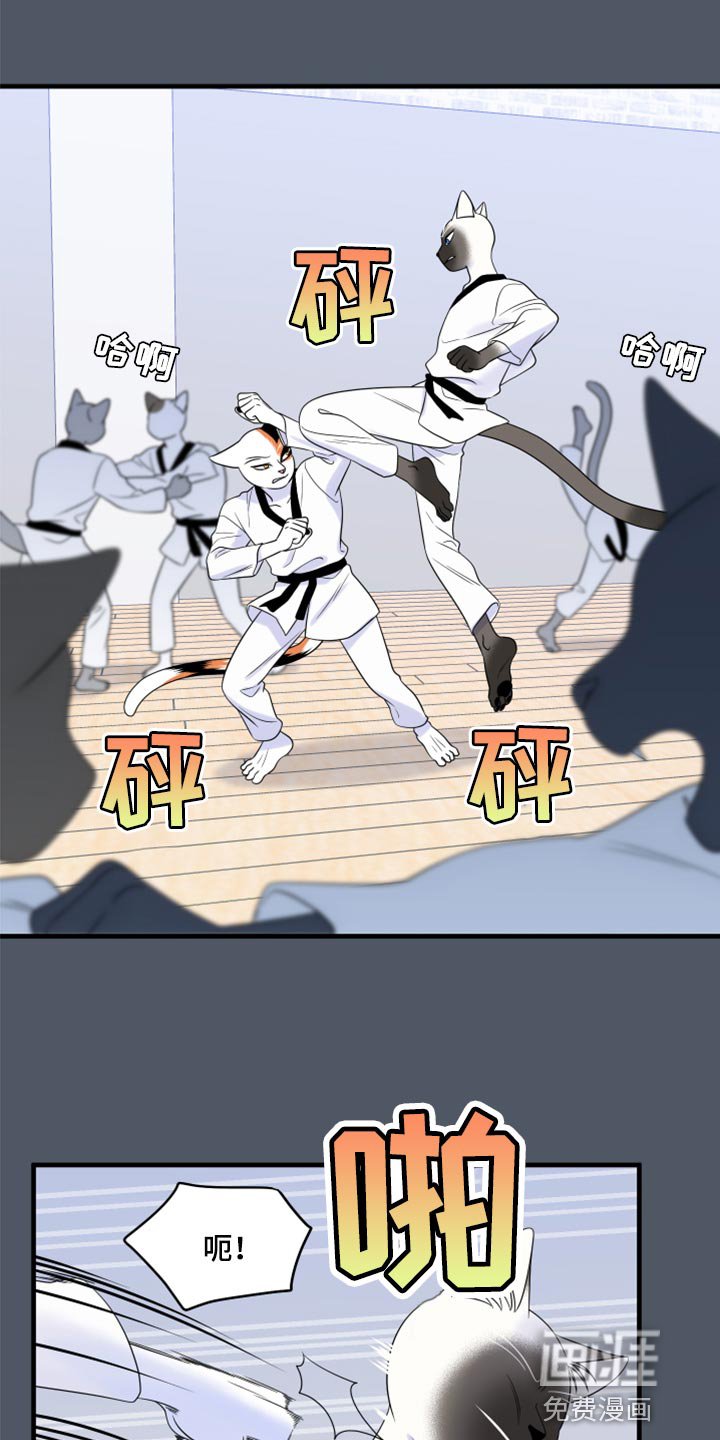 第73章：【第二季】有什么特别
