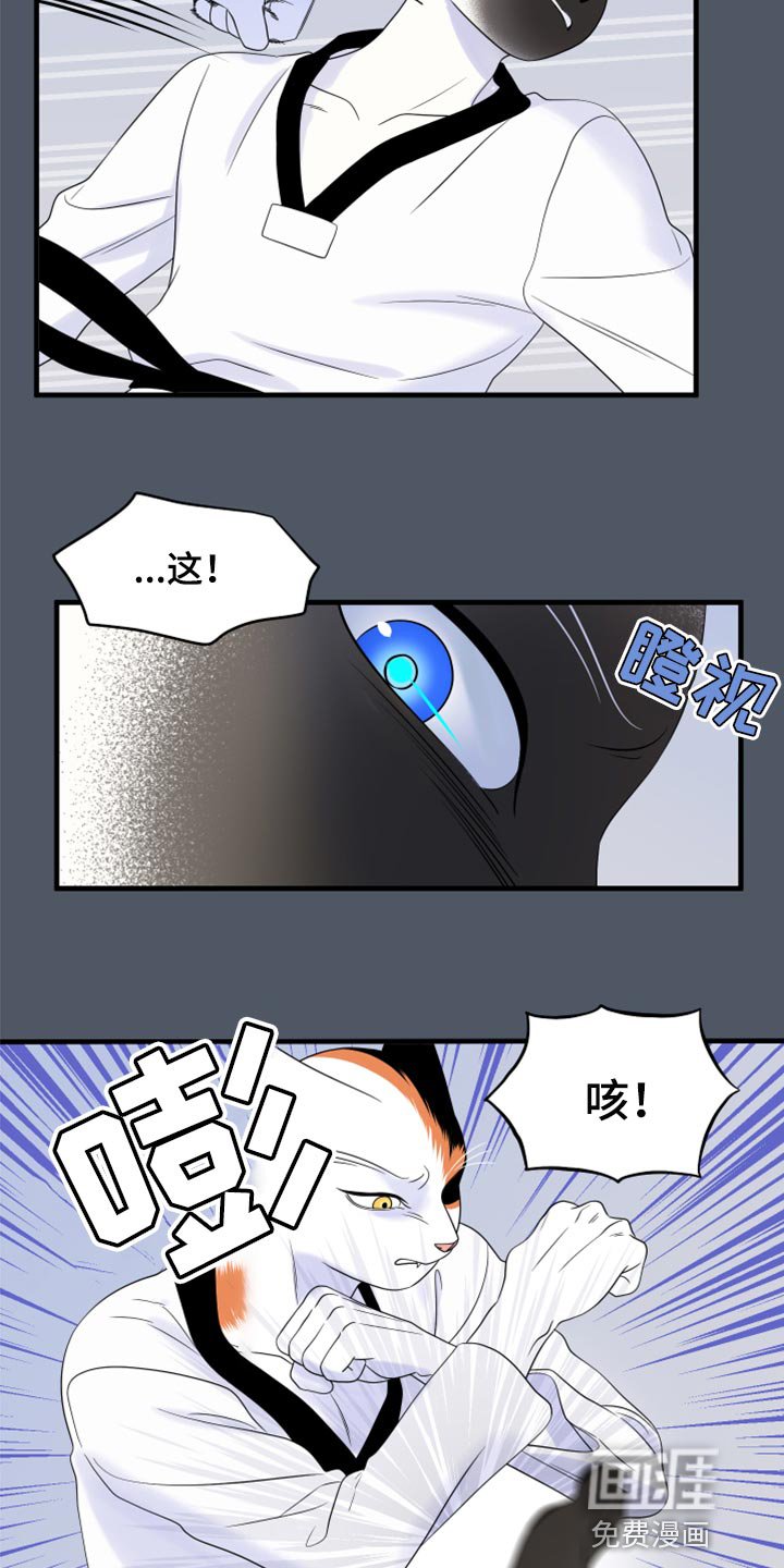 第73章：【第二季】有什么特别