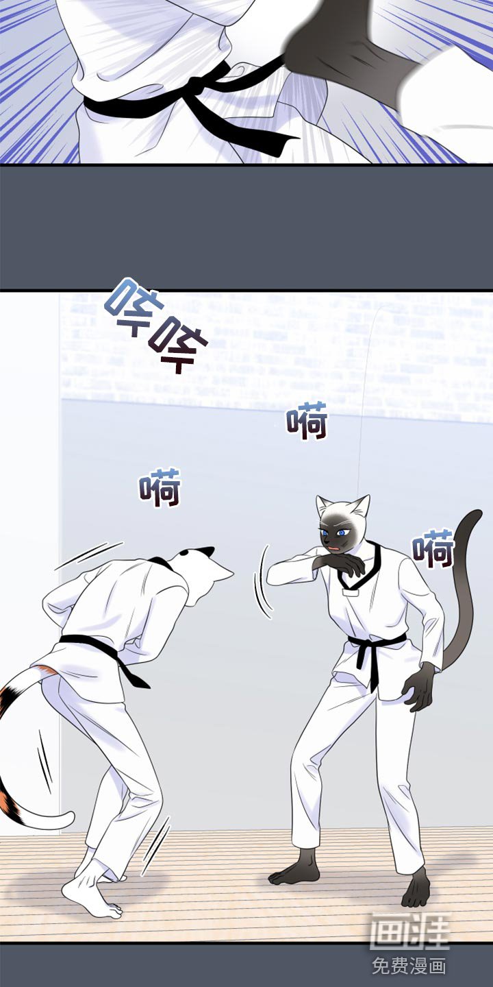 第73章：【第二季】有什么特别