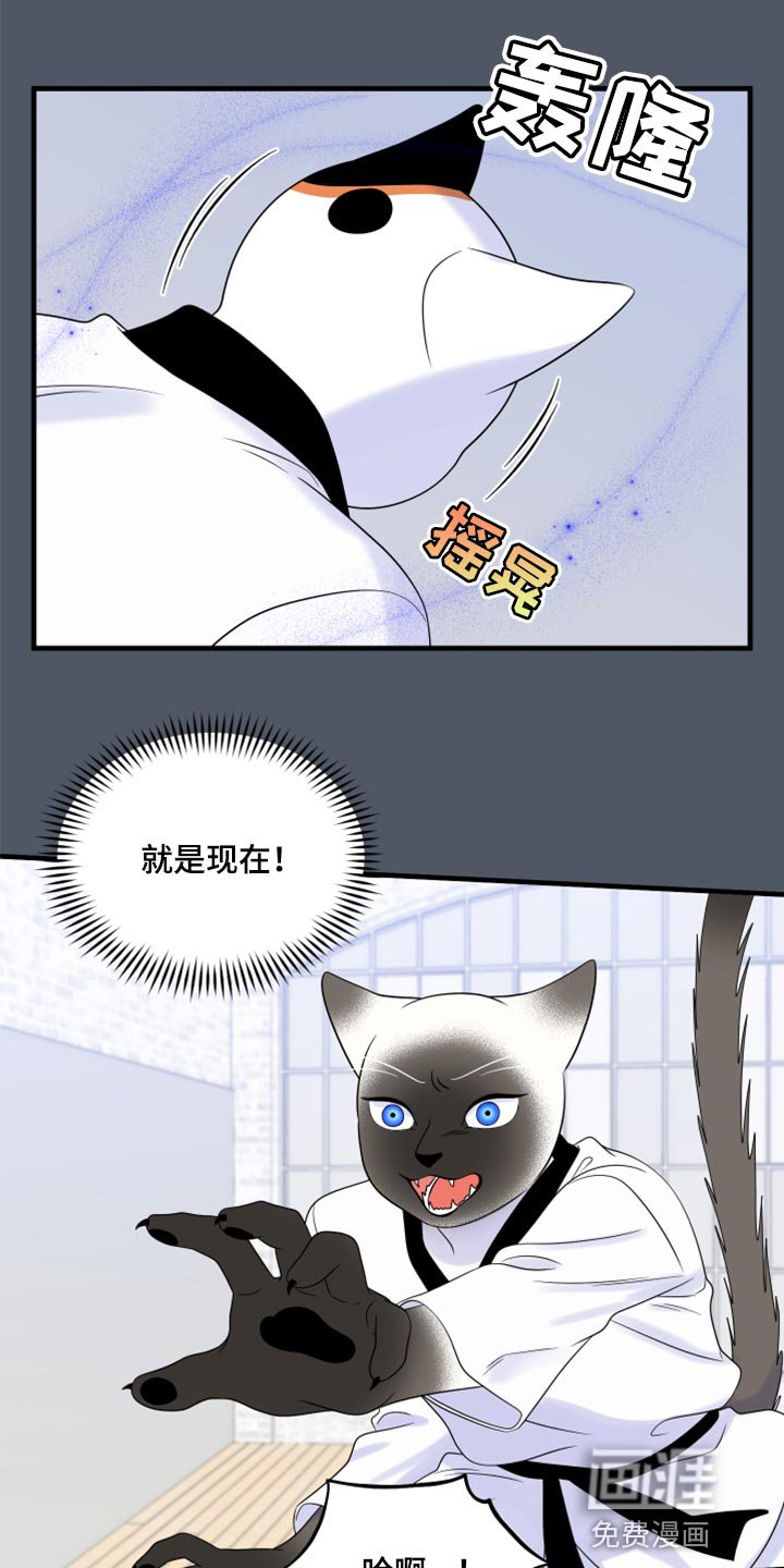第73章：【第二季】有什么特别