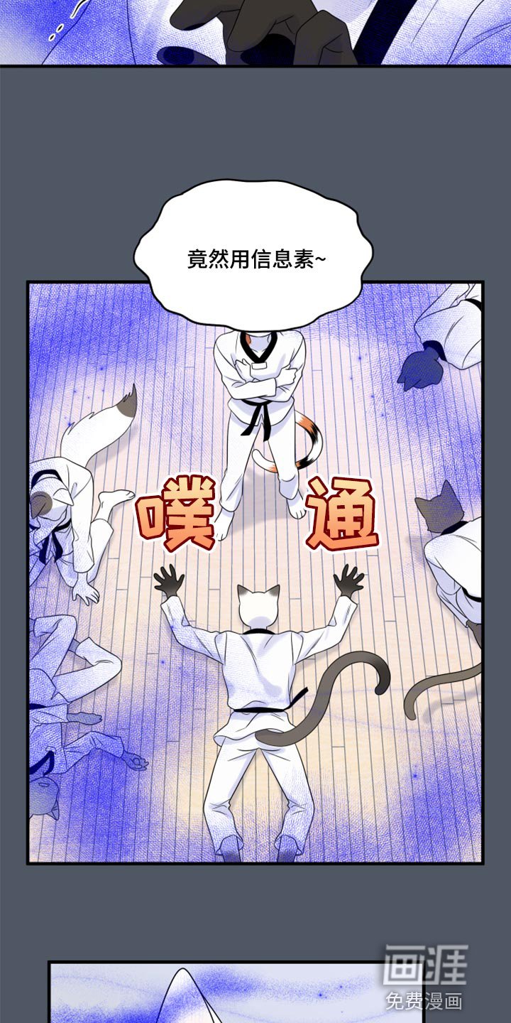 第73章：【第二季】有什么特别