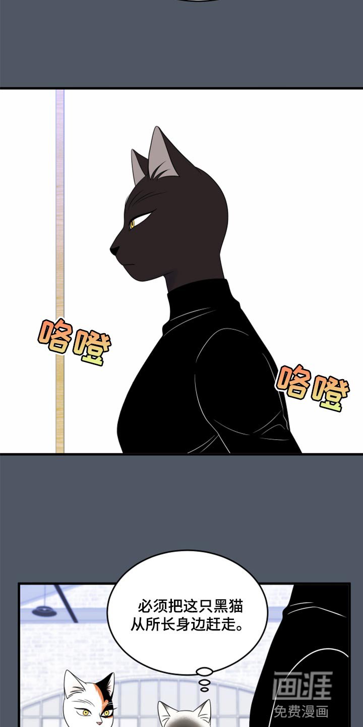 第73章：【第二季】有什么特别