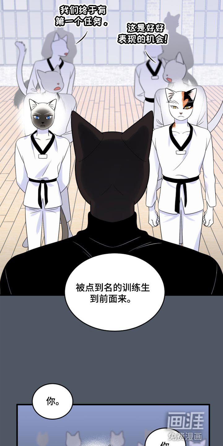 第73章：【第二季】有什么特别