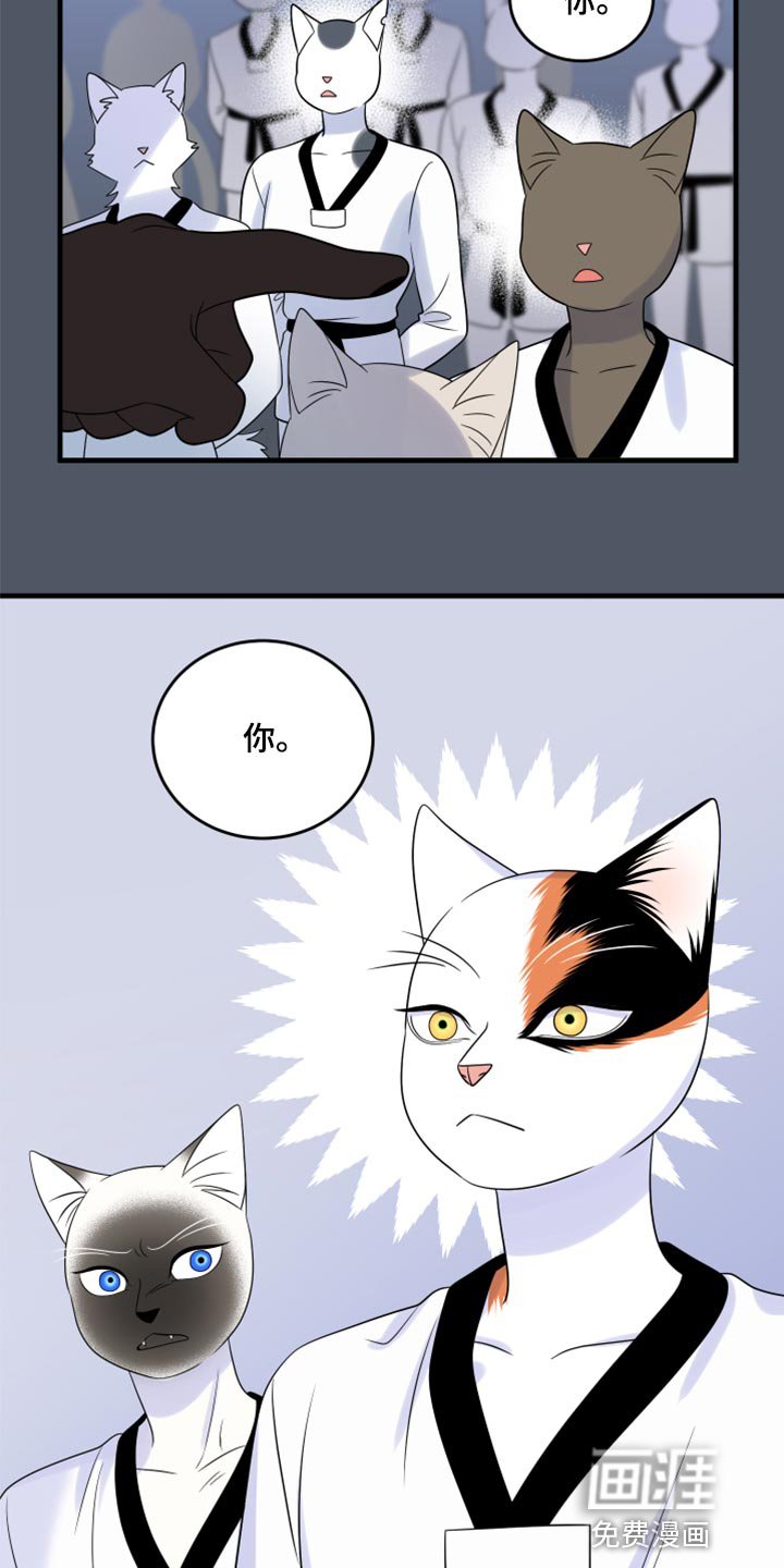 第73章：【第二季】有什么特别
