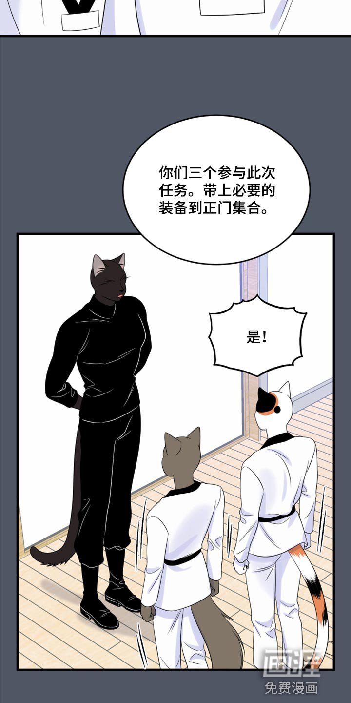第73章：【第二季】有什么特别