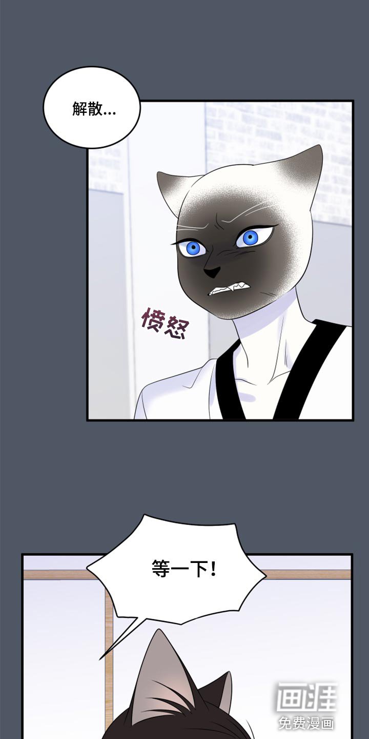 第73章：【第二季】有什么特别