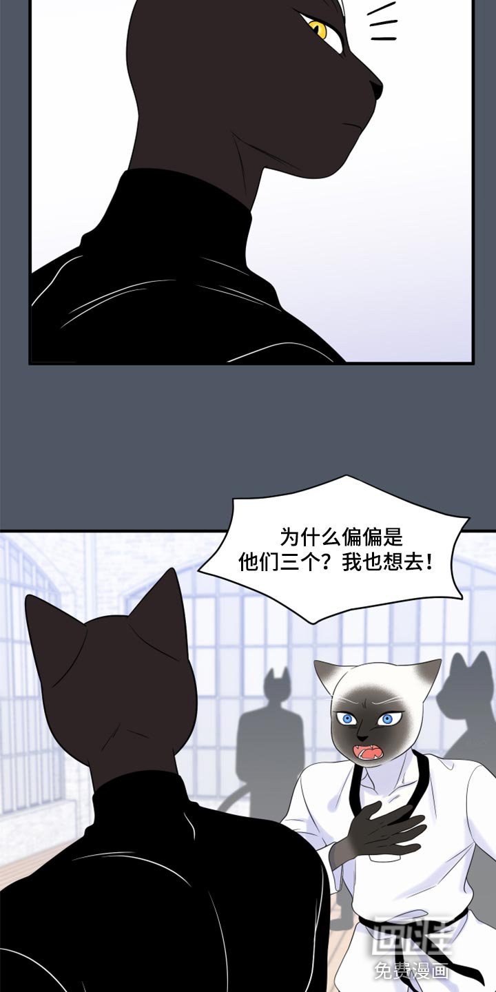 第73章：【第二季】有什么特别