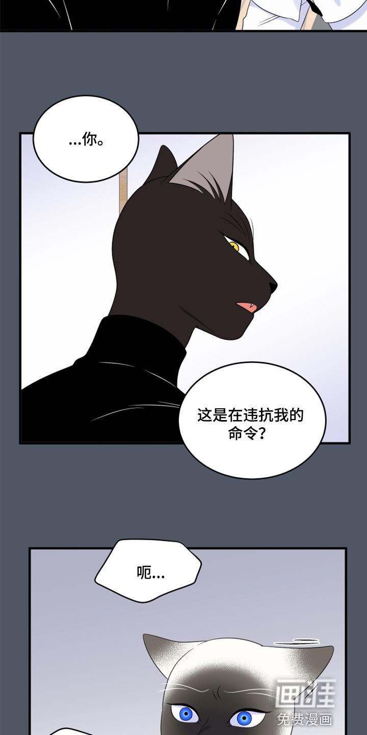 第73章：【第二季】有什么特别
