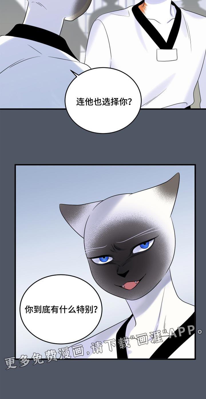 第73章：【第二季】有什么特别