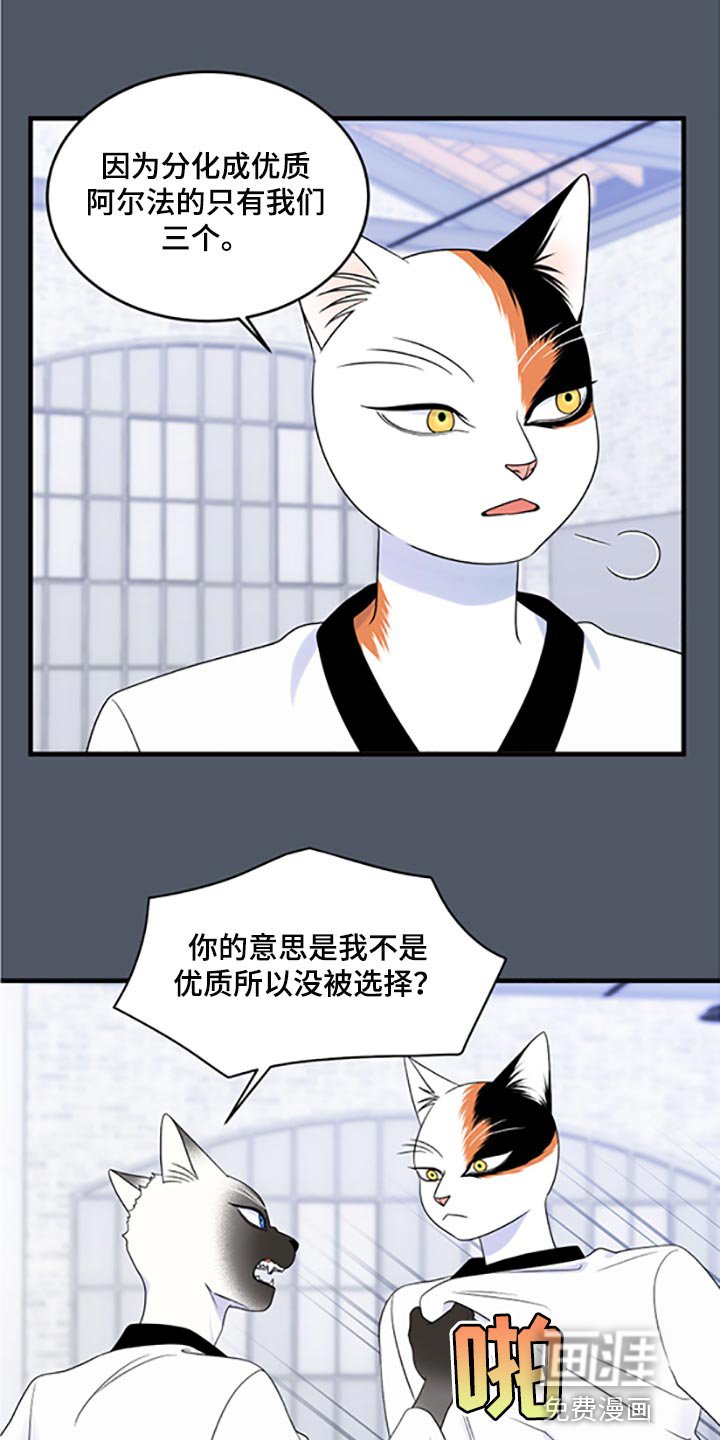第74章：【第二季】一定要在一起！