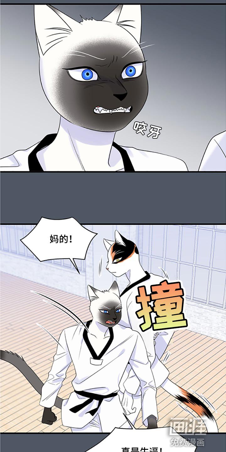 第74章：【第二季】一定要在一起！