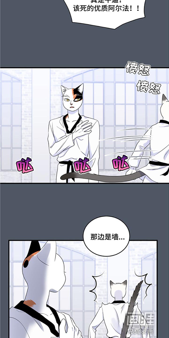 第74章：【第二季】一定要在一起！