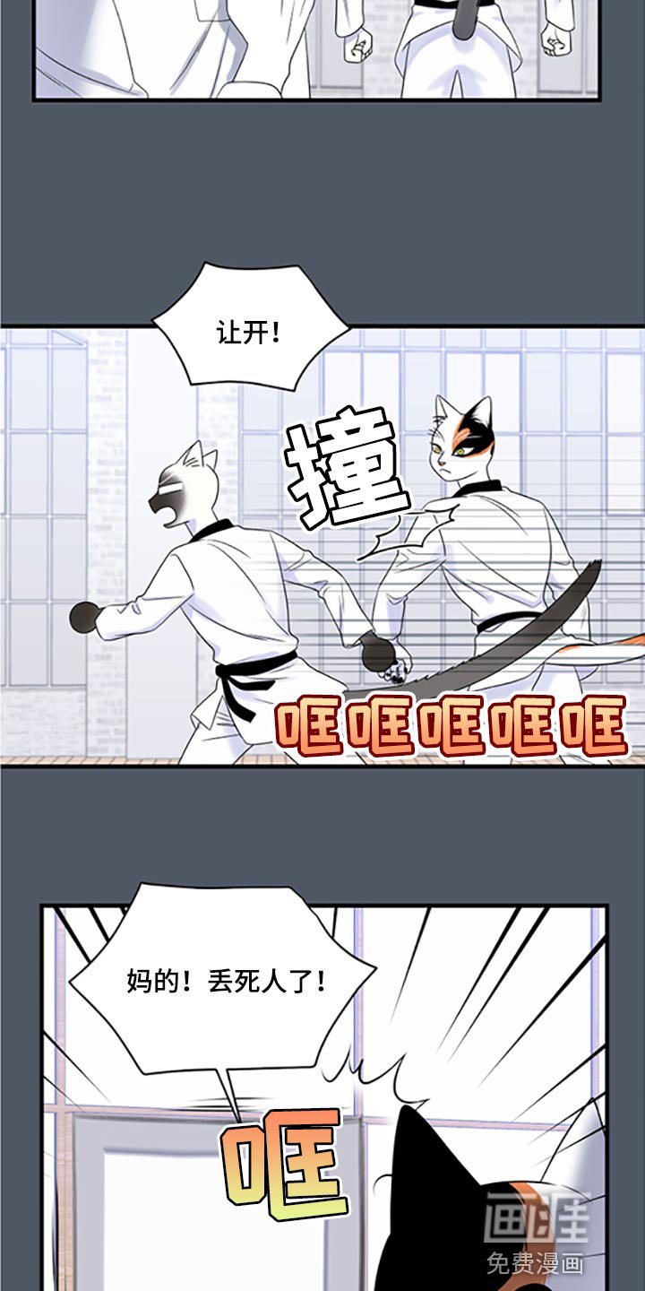 第74章：【第二季】一定要在一起！