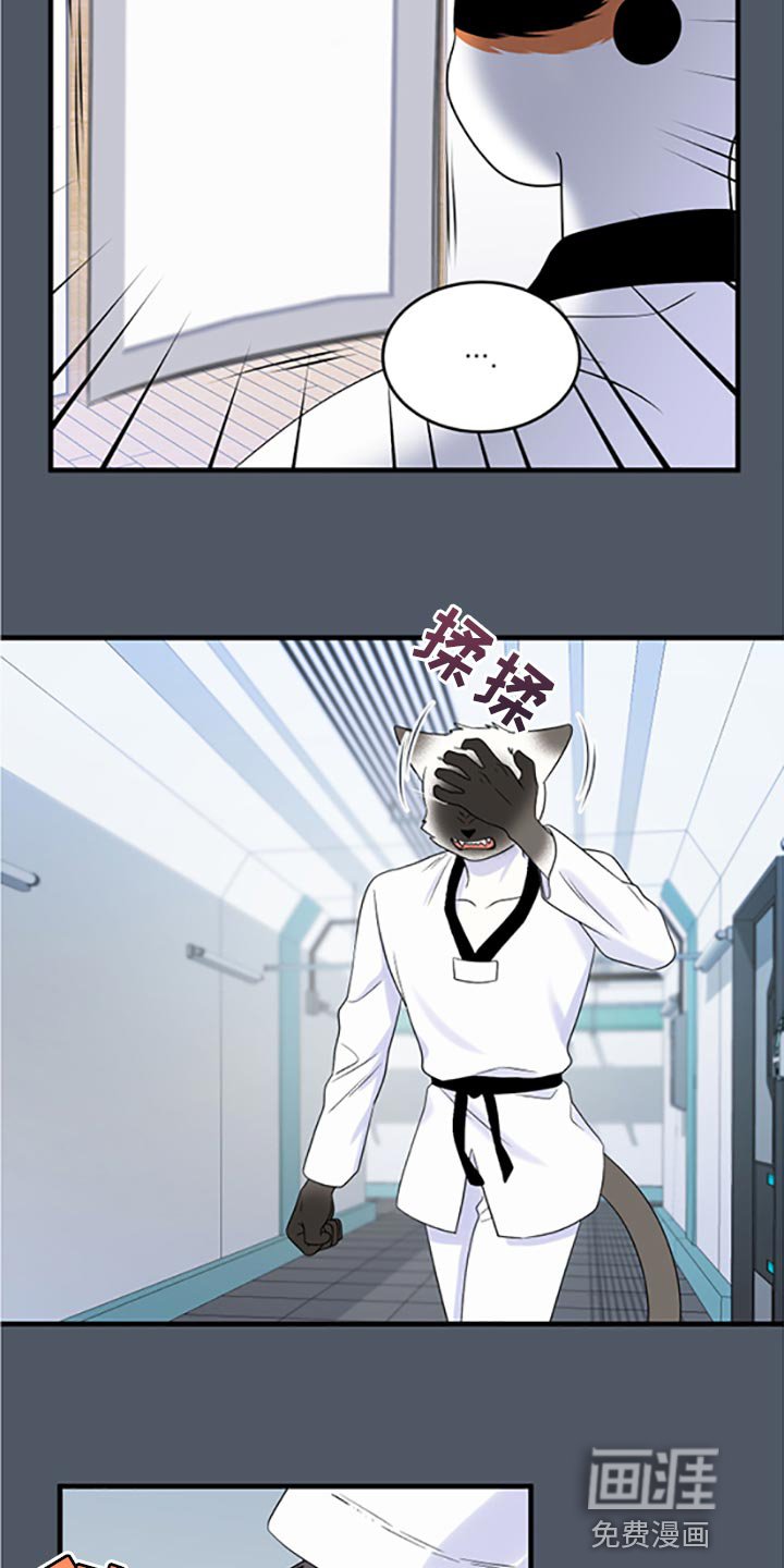 第74章：【第二季】一定要在一起！