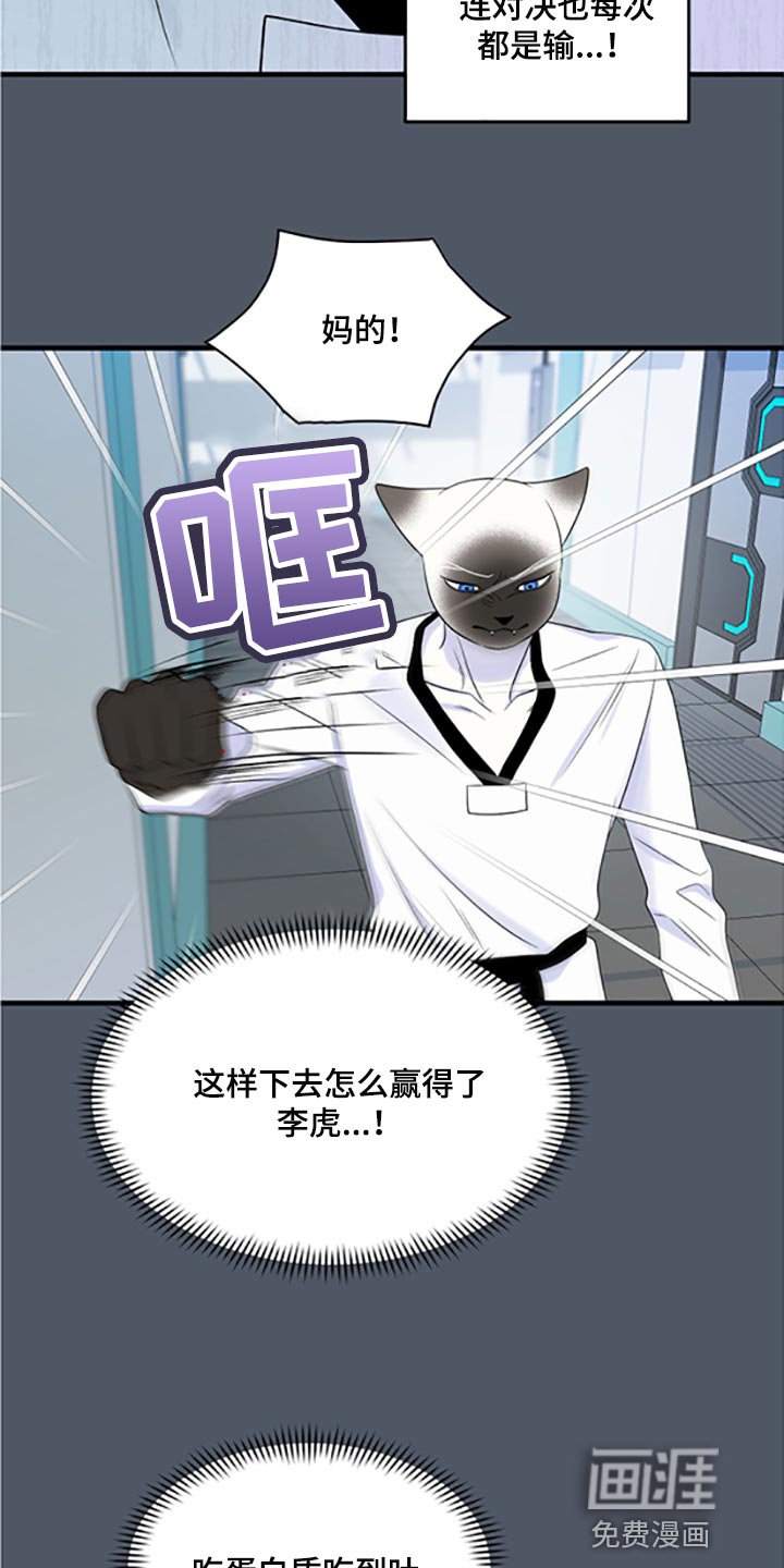 第74章：【第二季】一定要在一起！