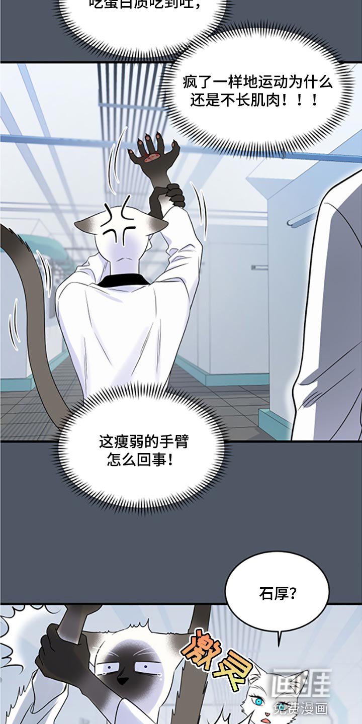 第74章：【第二季】一定要在一起！