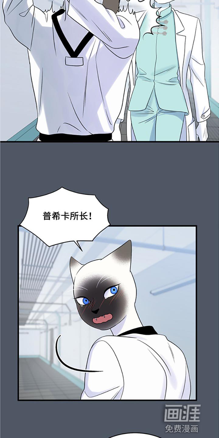 第74章：【第二季】一定要在一起！