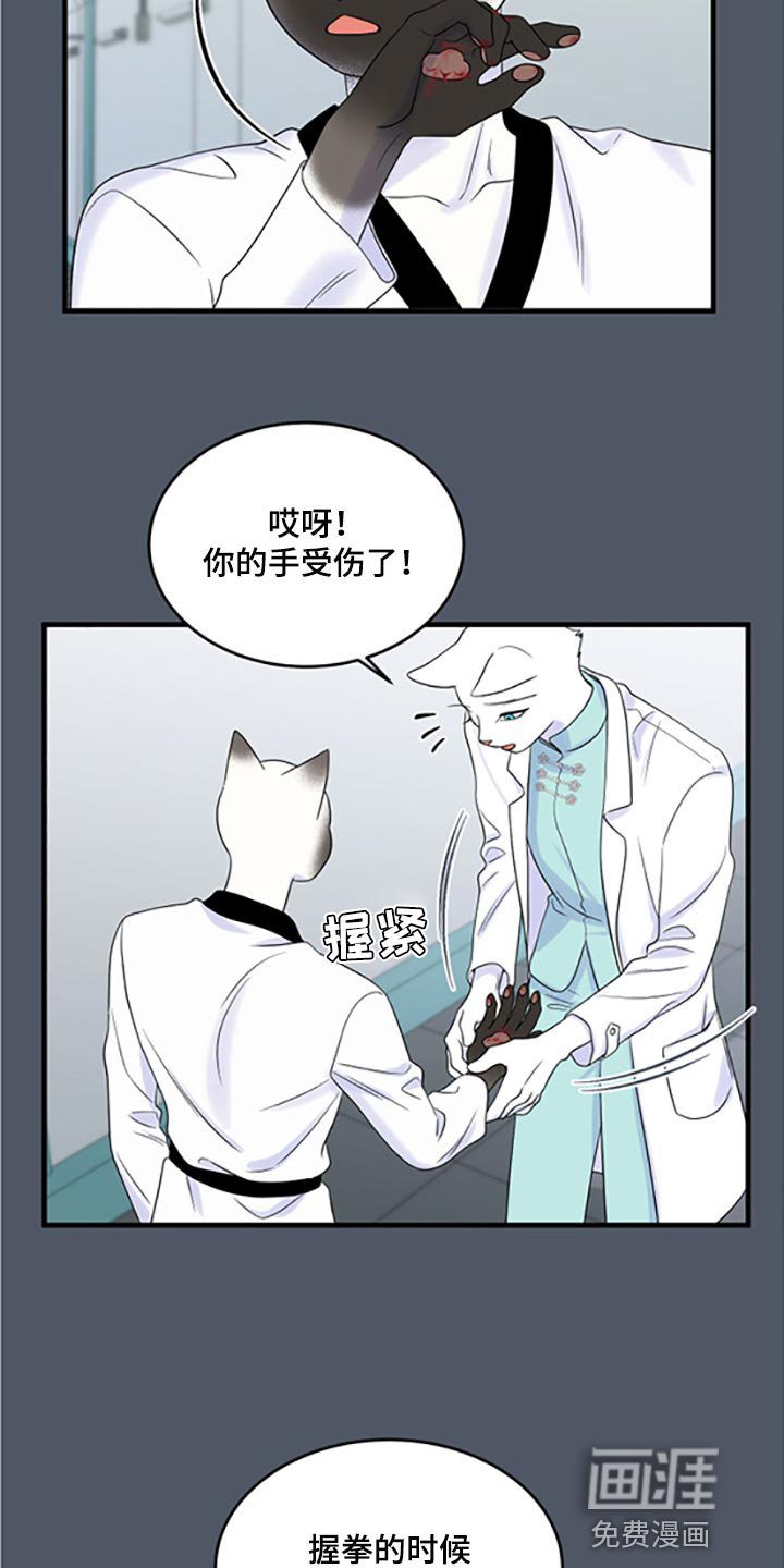 第74章：【第二季】一定要在一起！