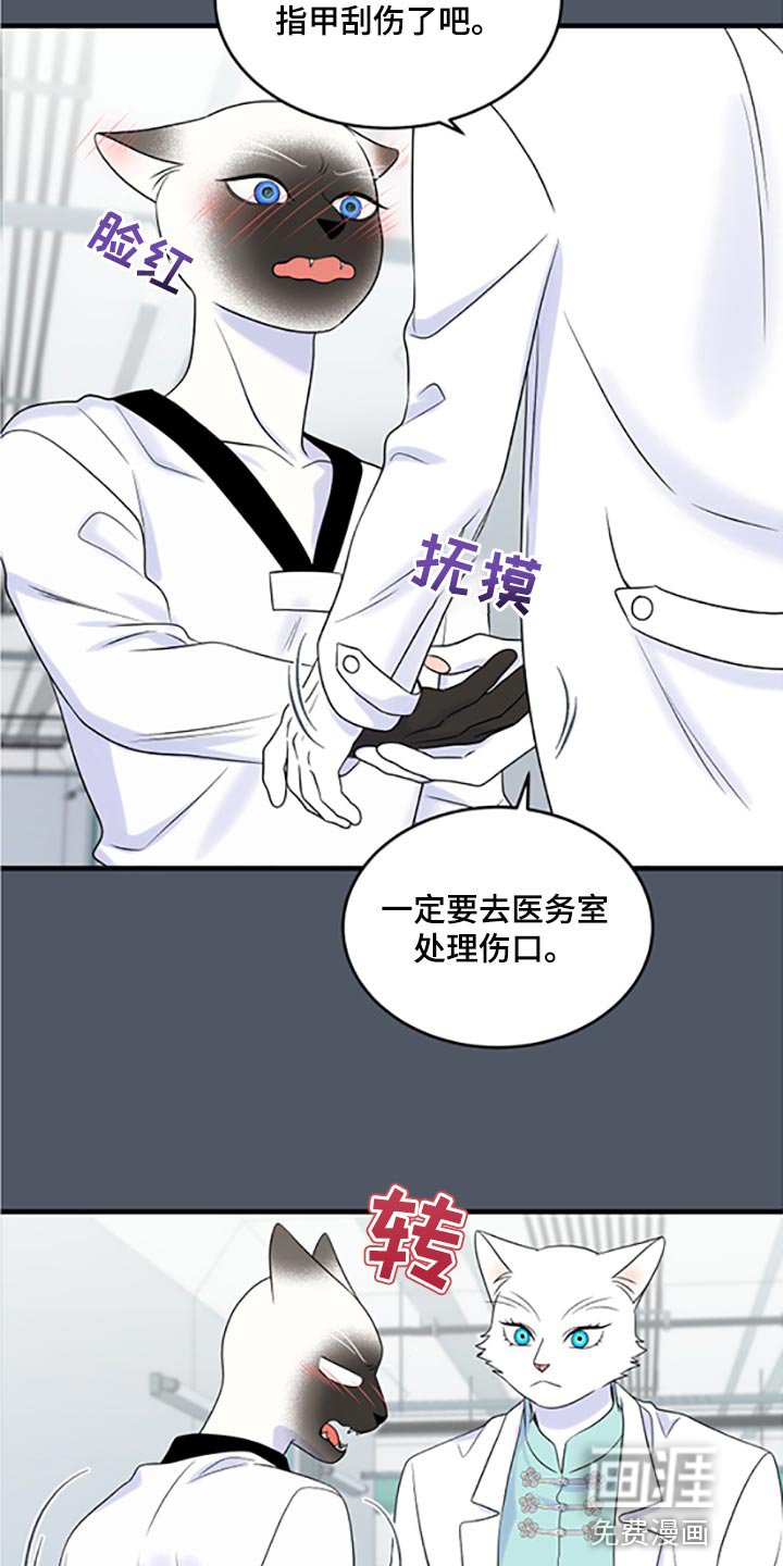 第74章：【第二季】一定要在一起！