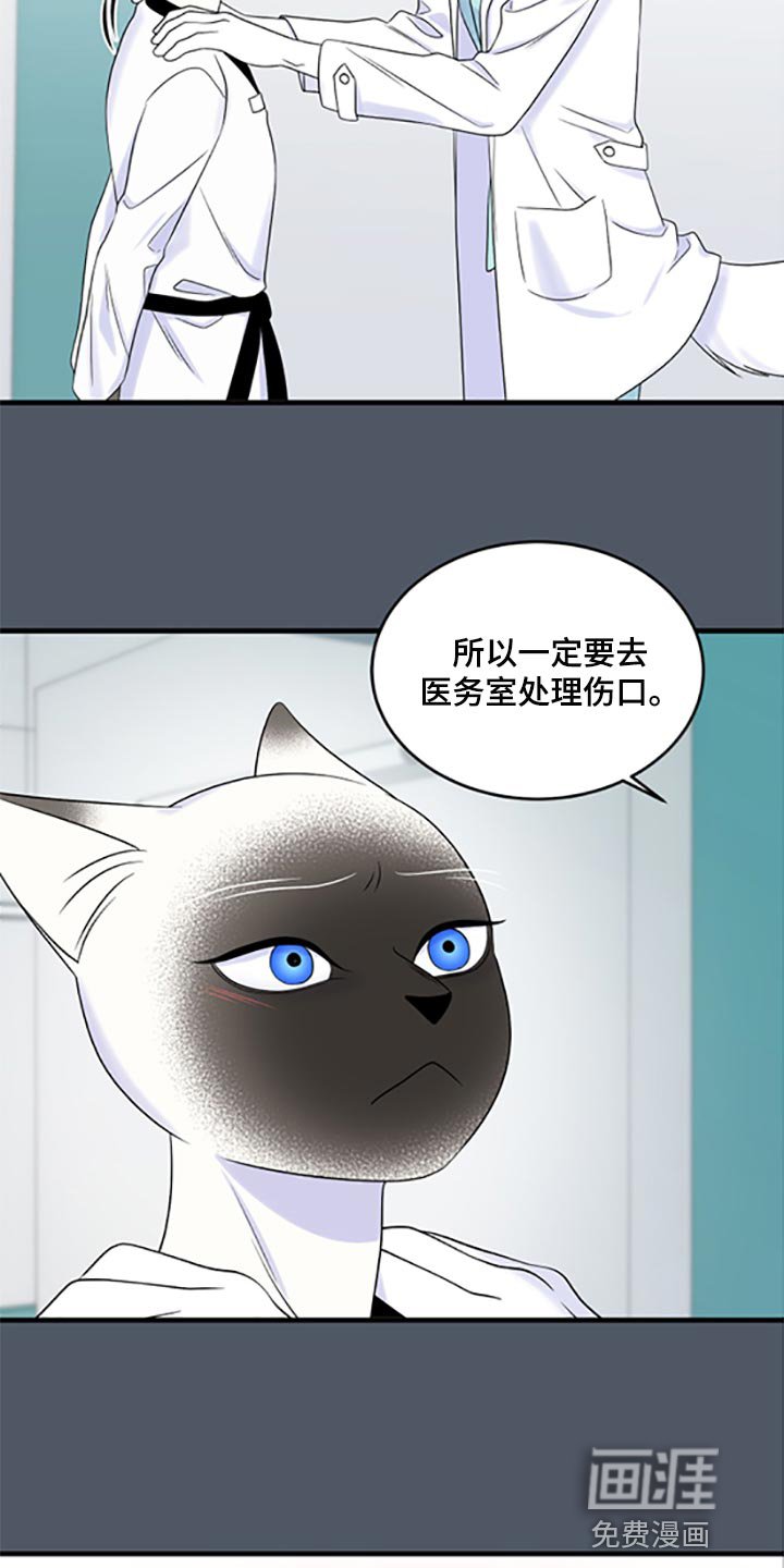 第74章：【第二季】一定要在一起！