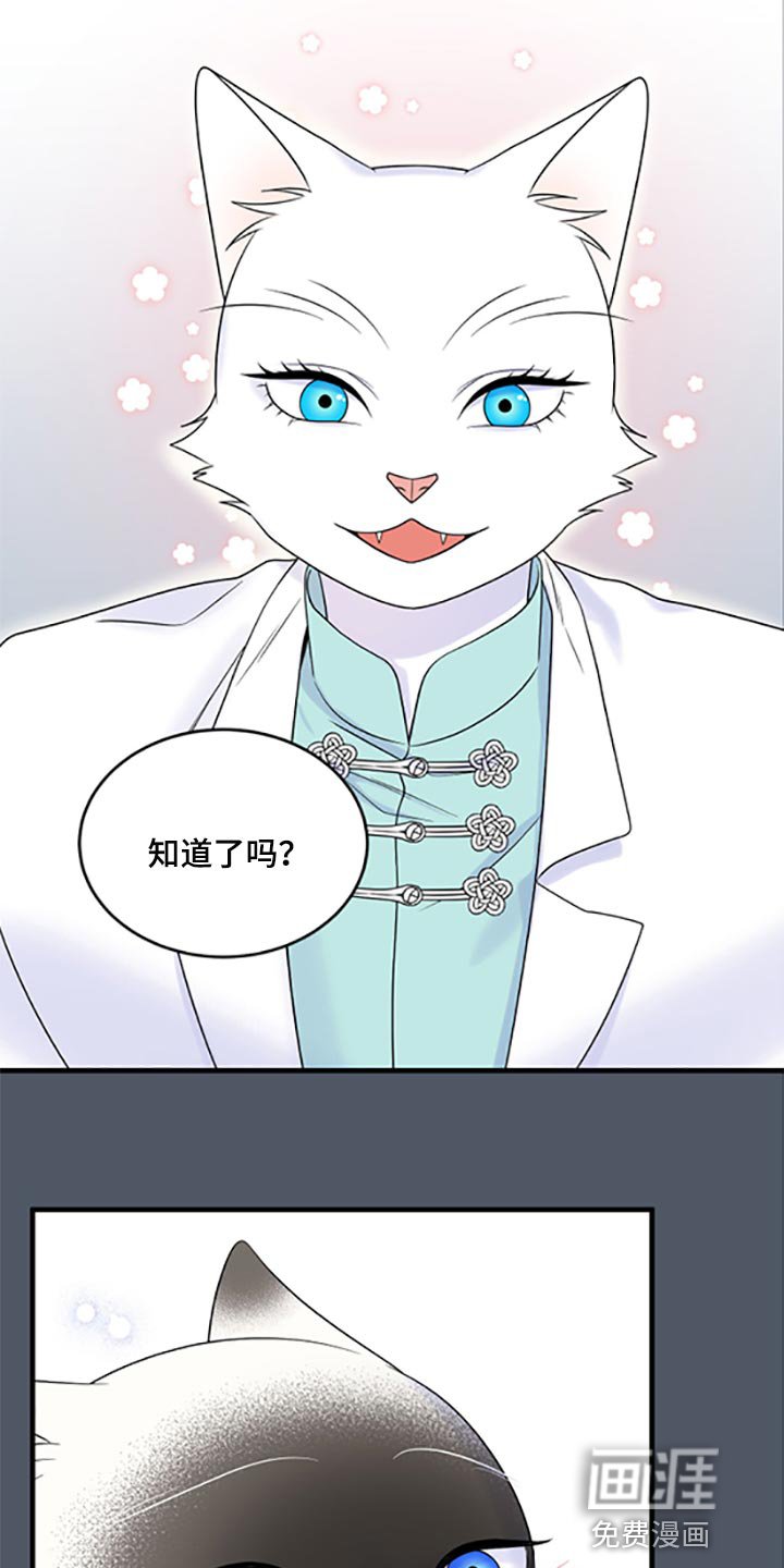 第74章：【第二季】一定要在一起！