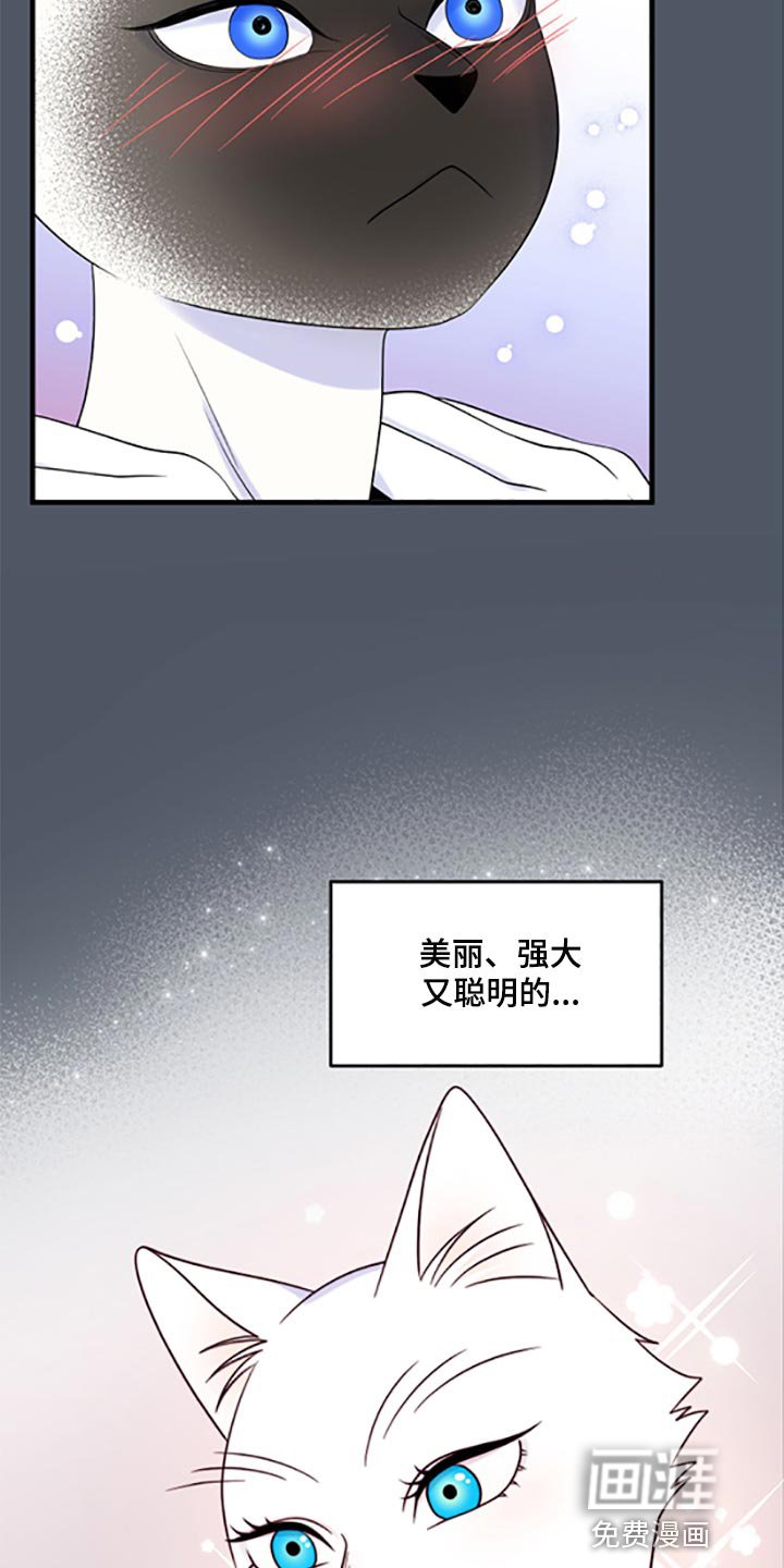 第74章：【第二季】一定要在一起！
