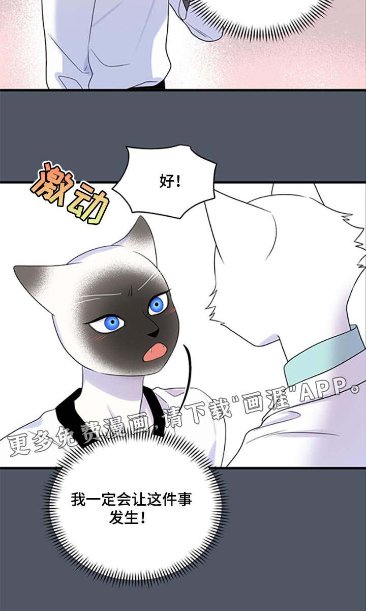 第74章：【第二季】一定要在一起！