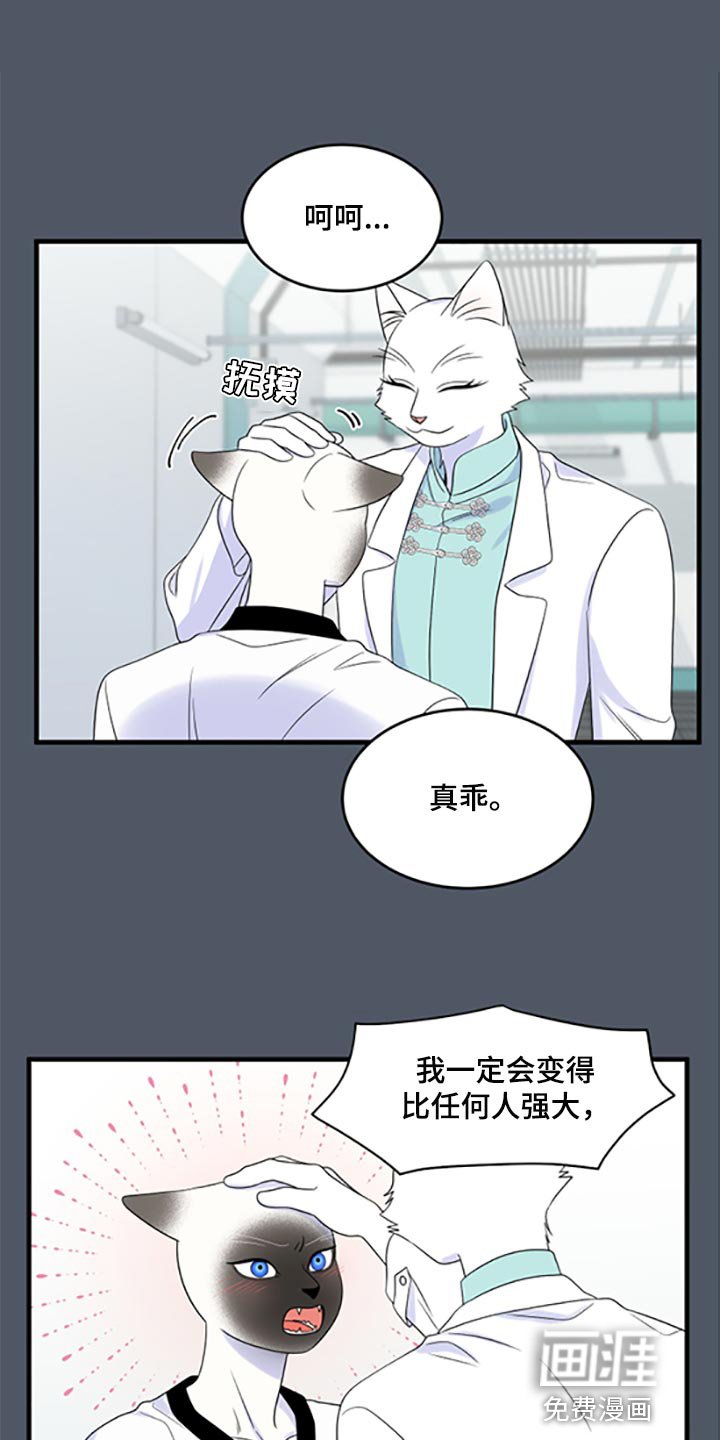 第75章：【第二季】优点也是弱点