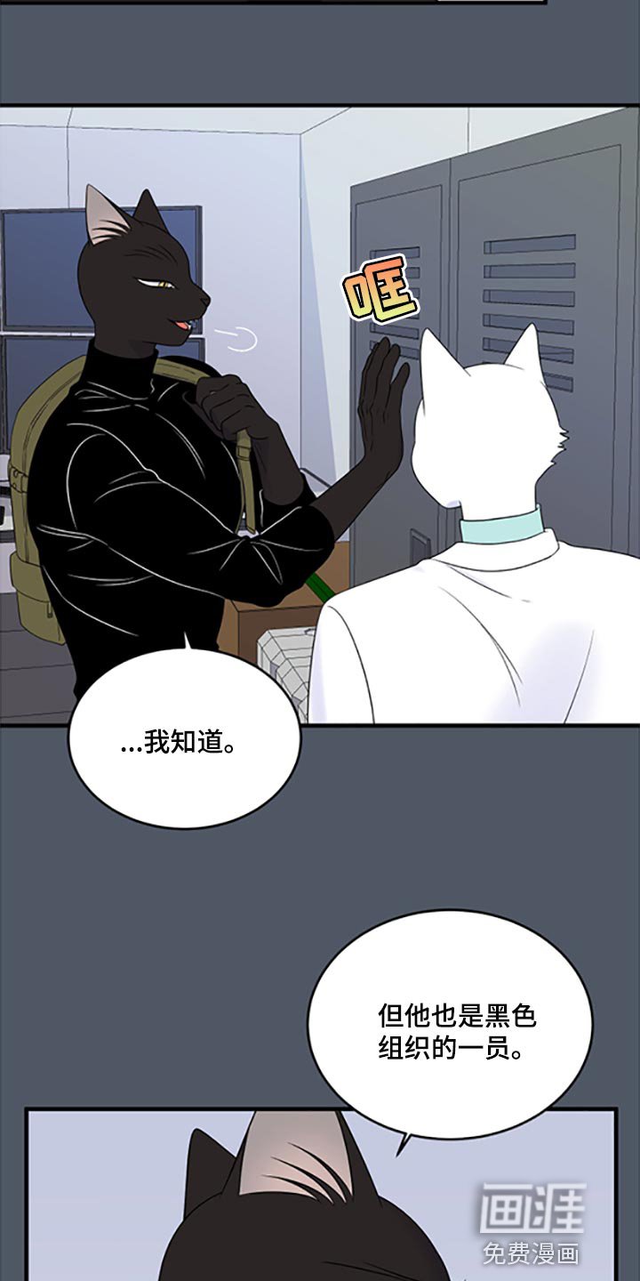第75章：【第二季】优点也是弱点
