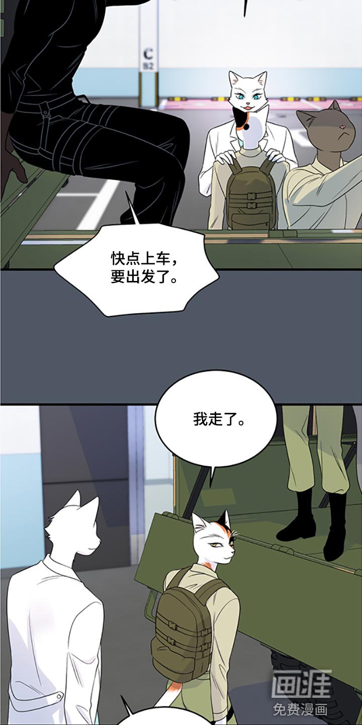第76章：【第二季】傻瓜