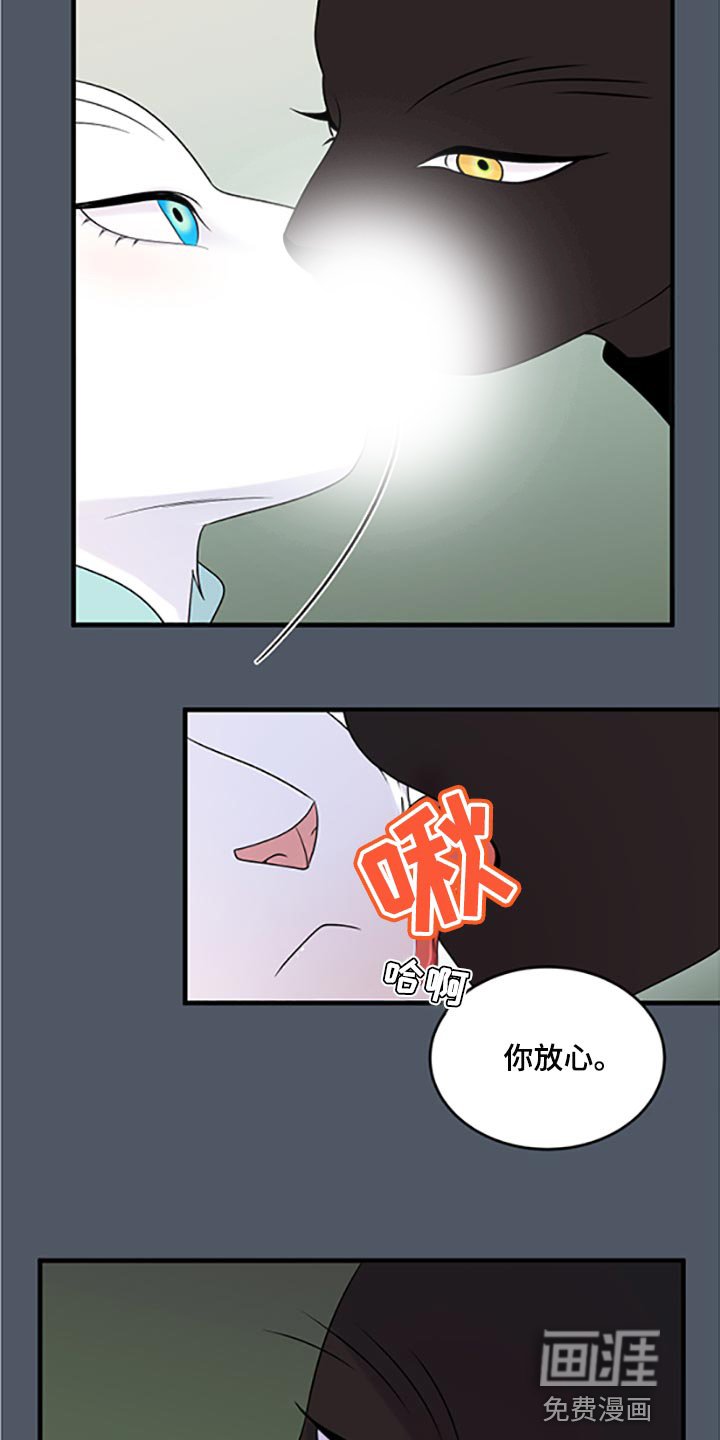 第76章：【第二季】傻瓜