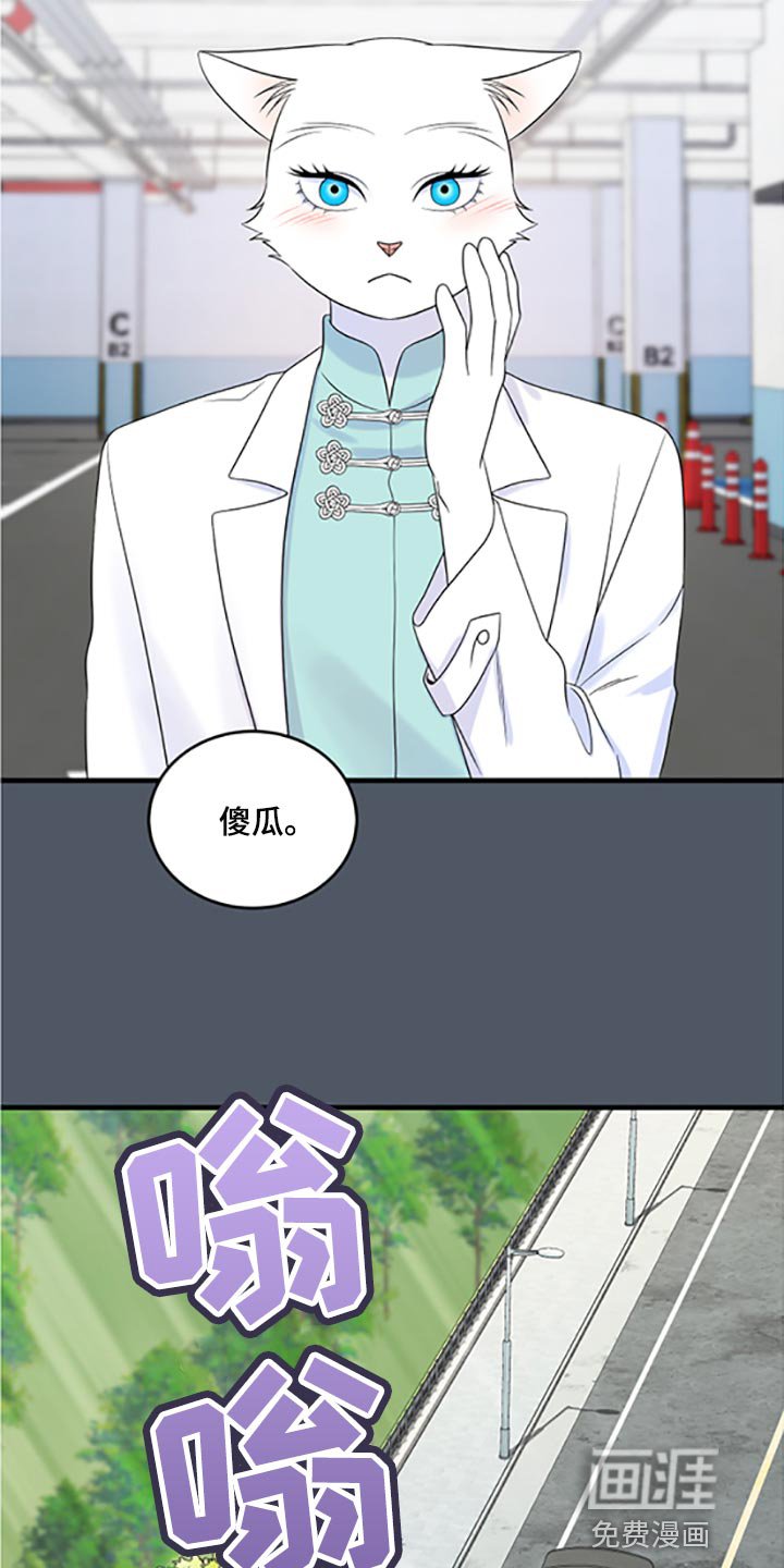 第76章：【第二季】傻瓜