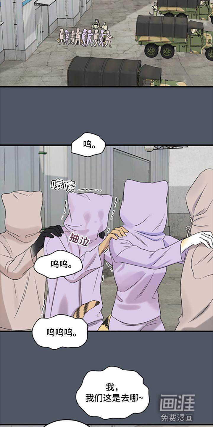 第76章：【第二季】傻瓜