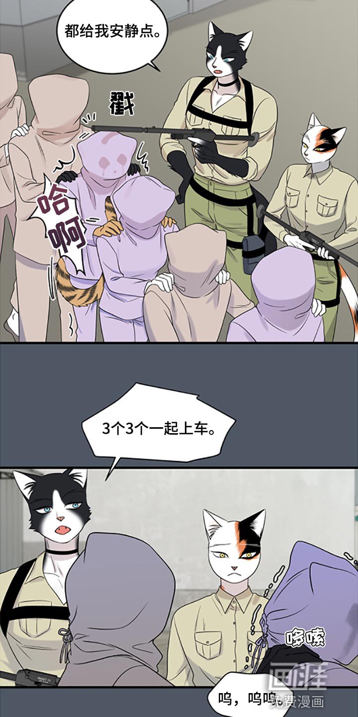 第76章：【第二季】傻瓜