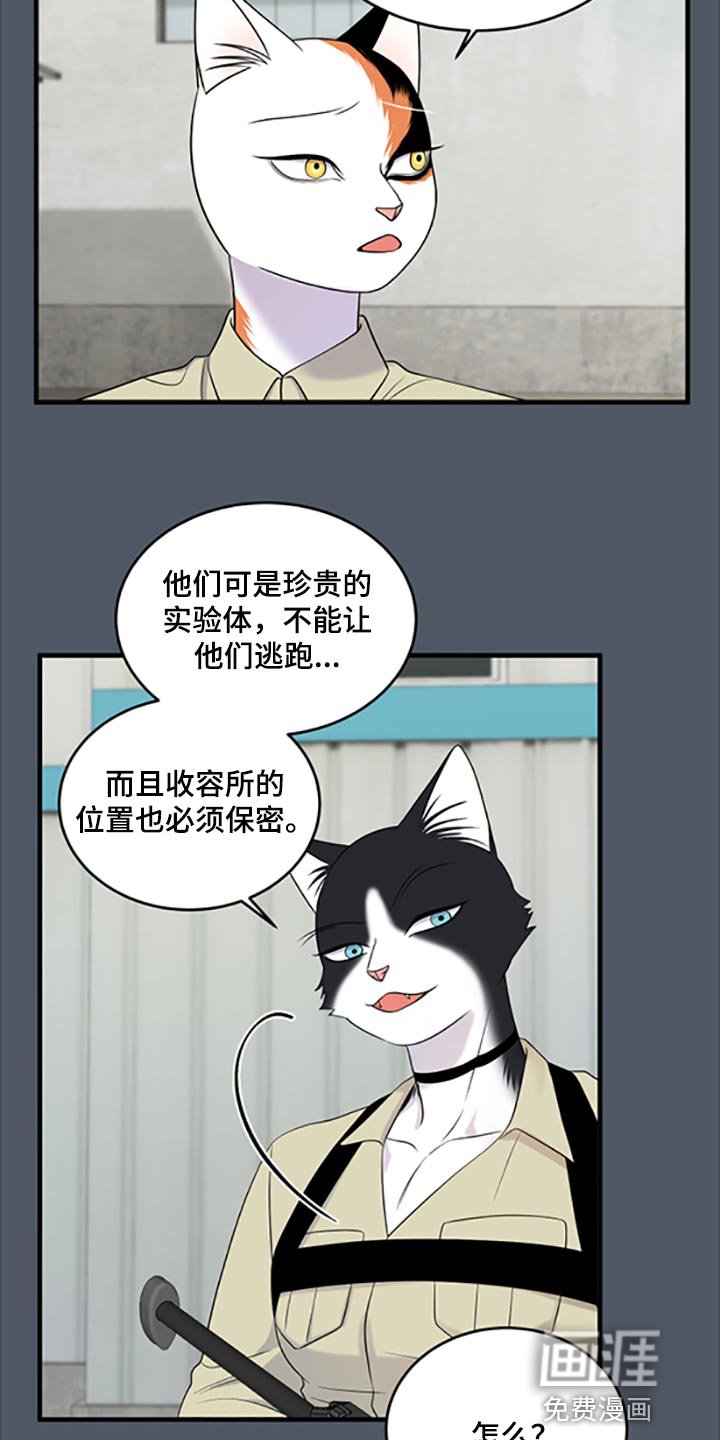 第76章：【第二季】傻瓜