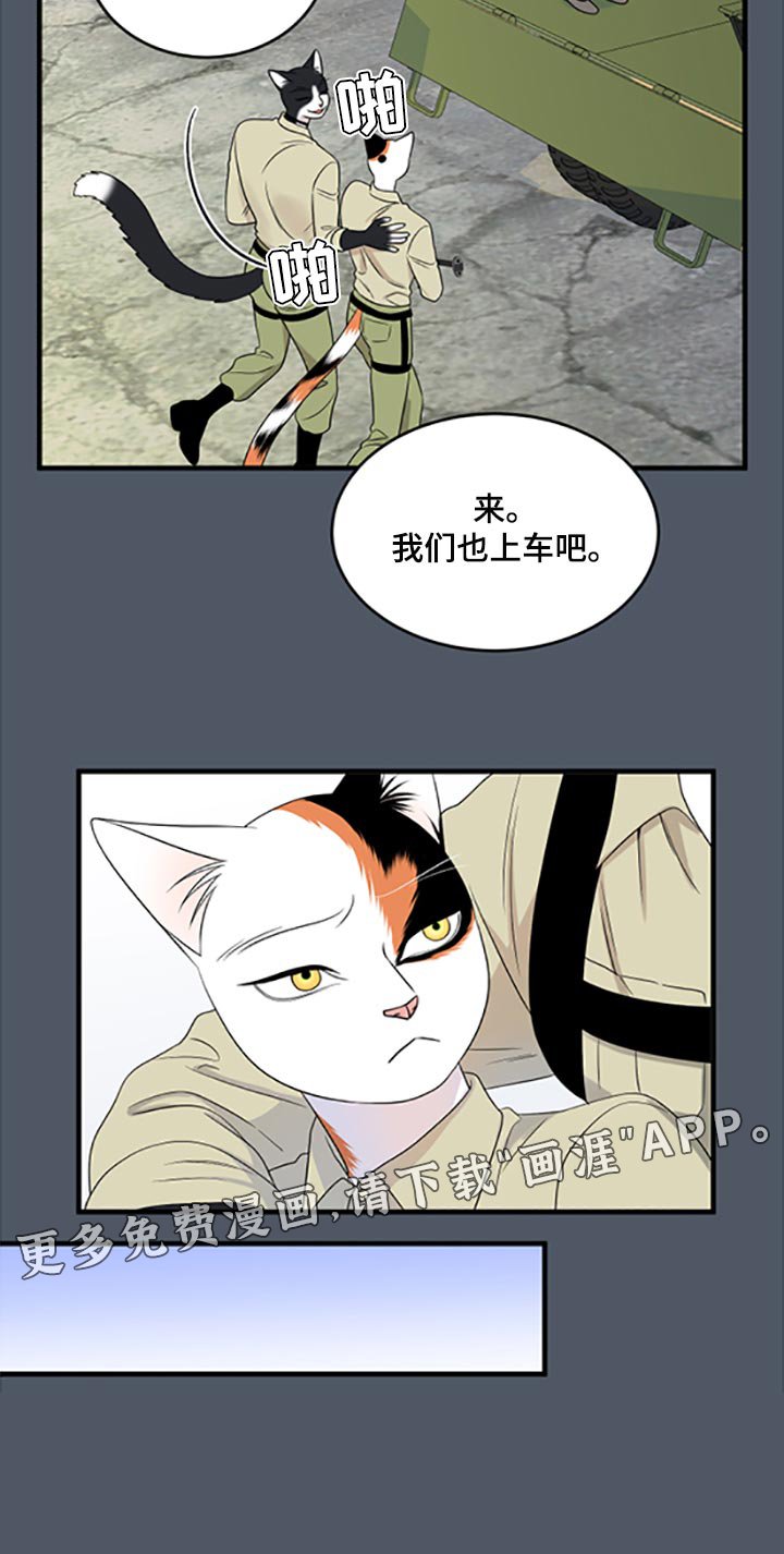 第76章：【第二季】傻瓜