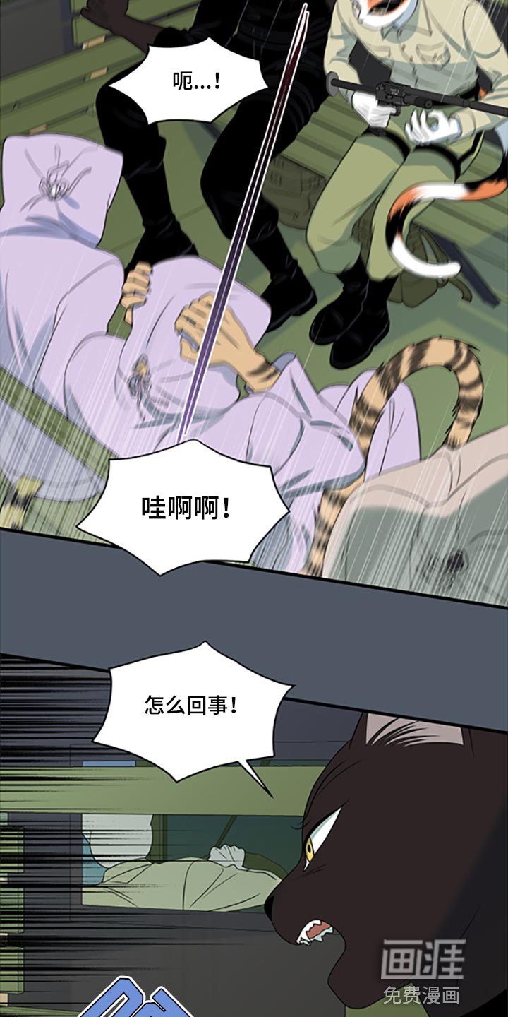 第77章：【第二季】理所应当做的事