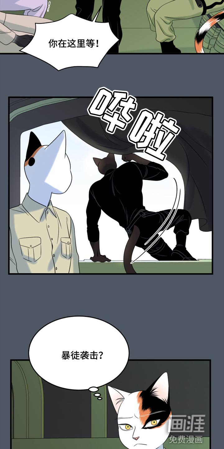 第77章：【第二季】理所应当做的事