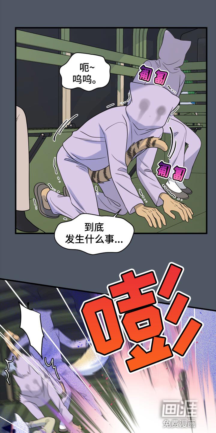 第78章：【第二季】中弹