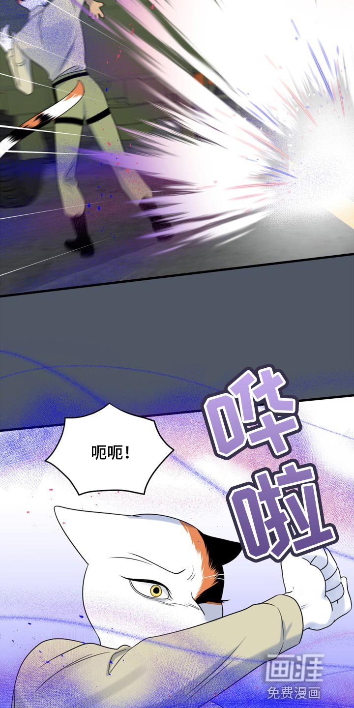 第78章：【第二季】中弹