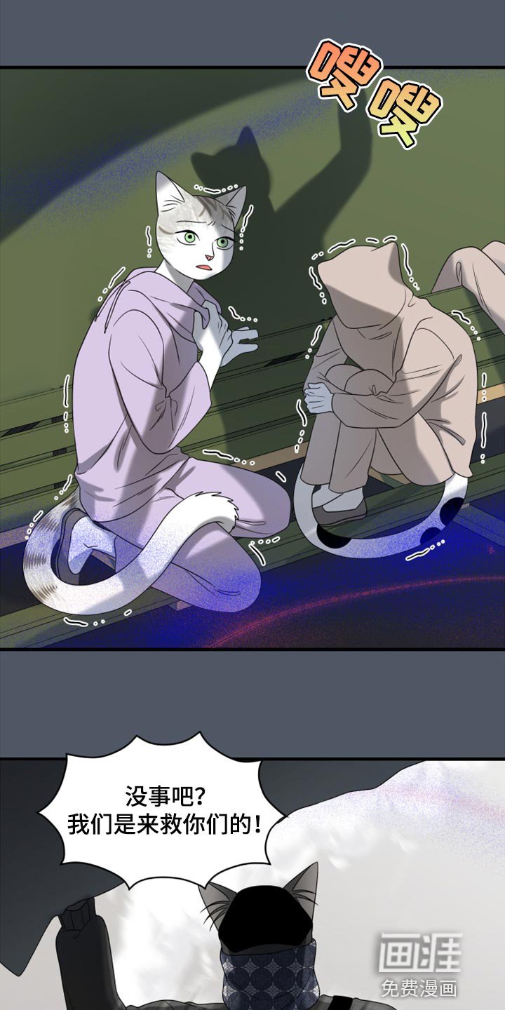 第78章：【第二季】中弹