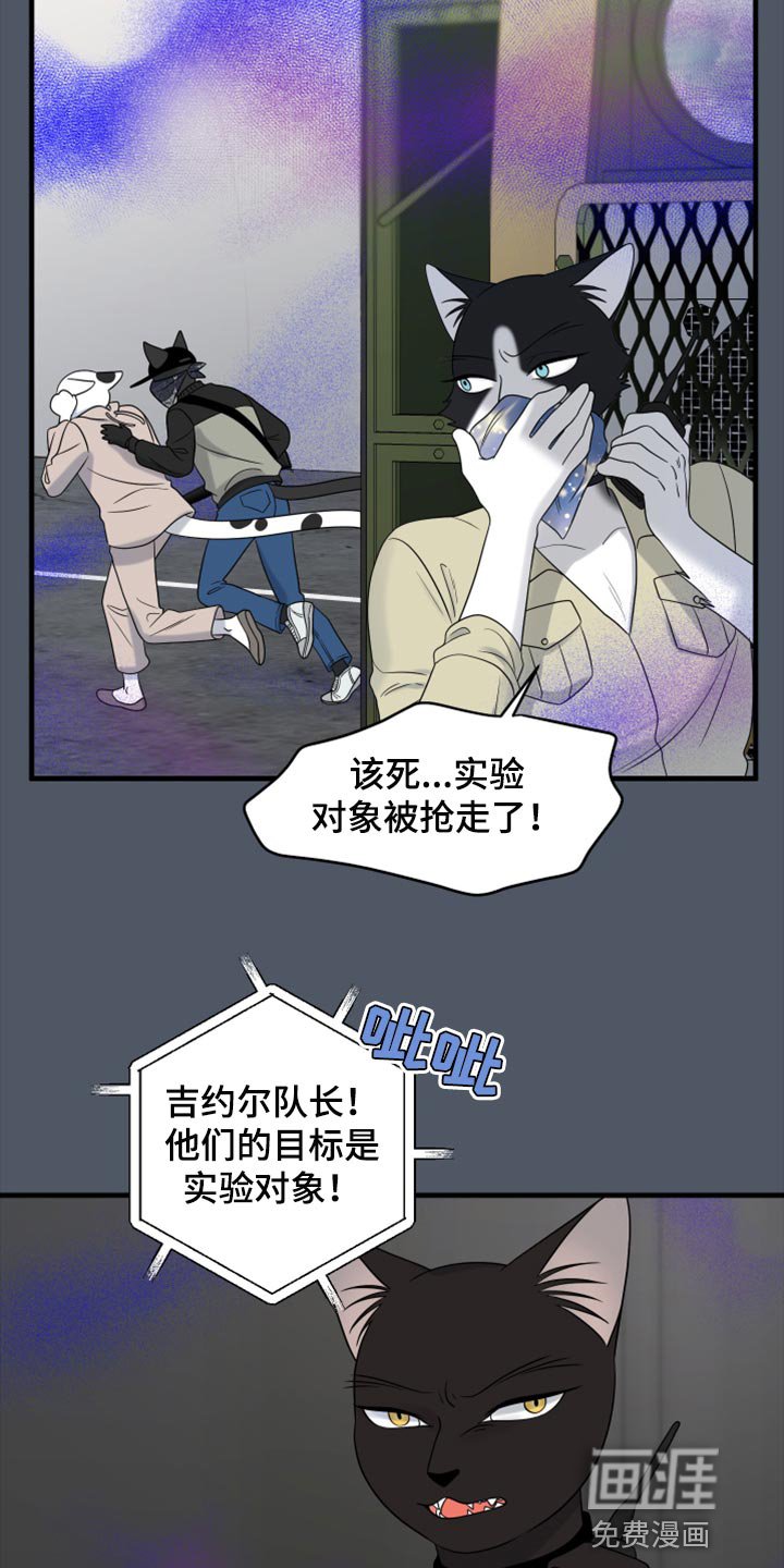 第78章：【第二季】中弹