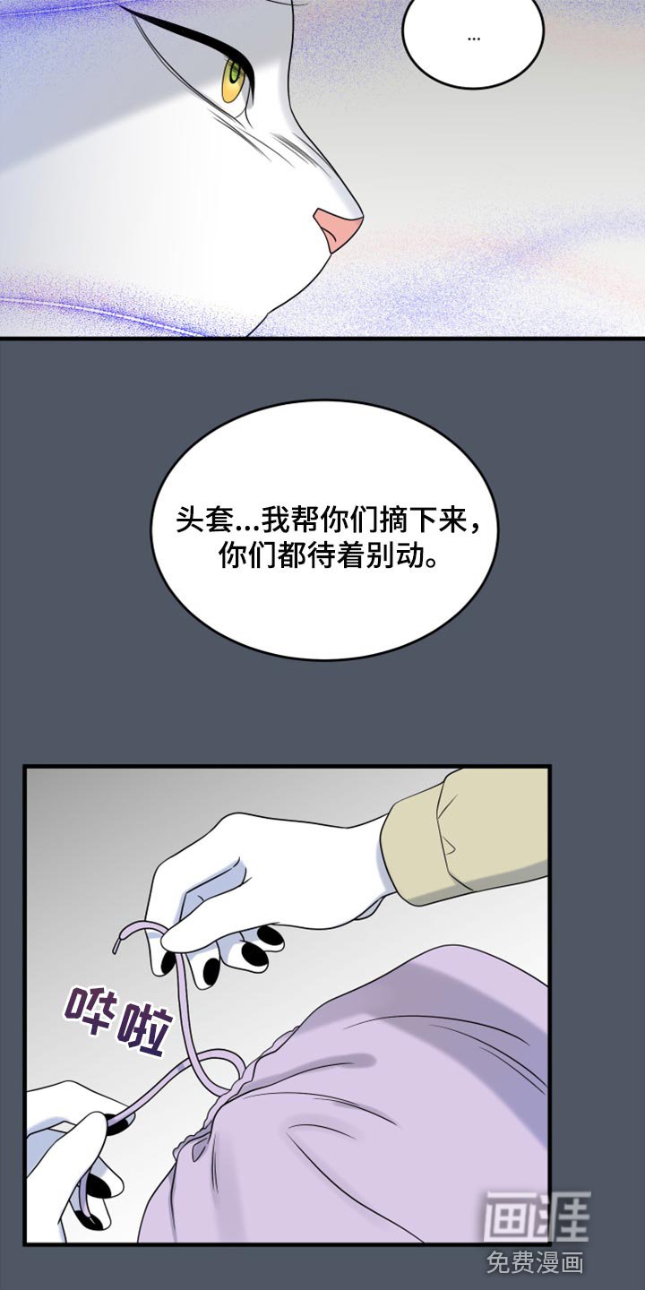 第78章：【第二季】中弹