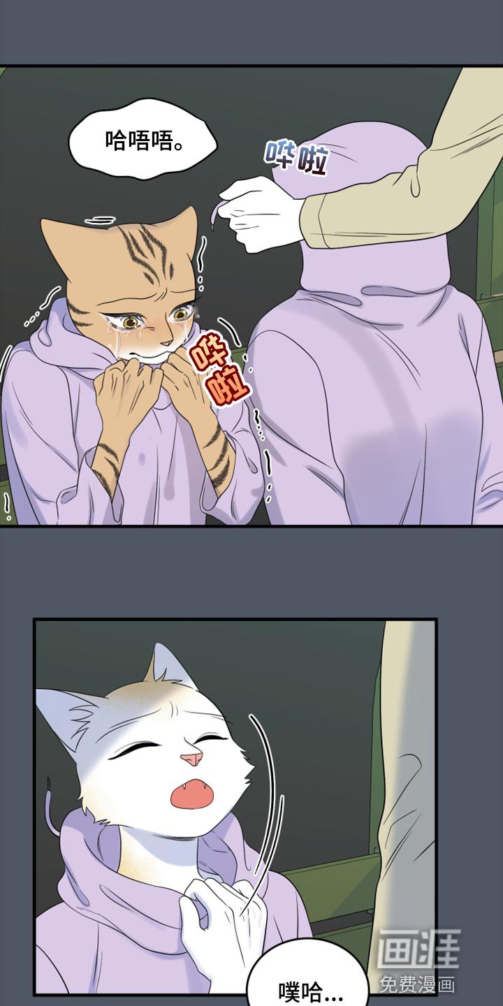 第78章：【第二季】中弹