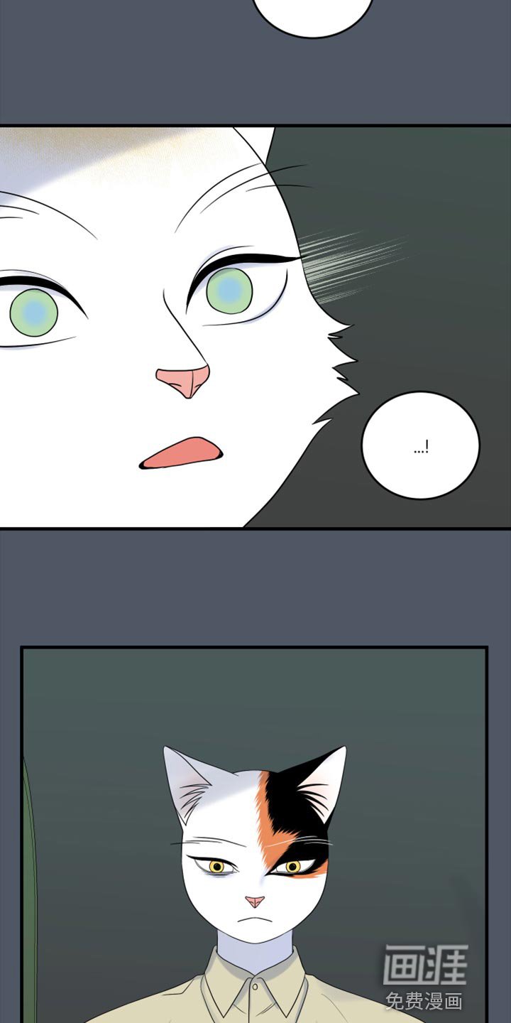 第78章：【第二季】中弹