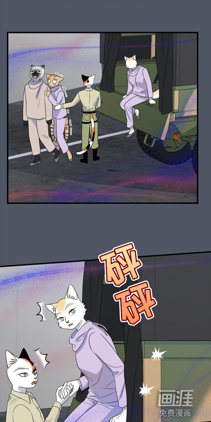第78章：【第二季】中弹