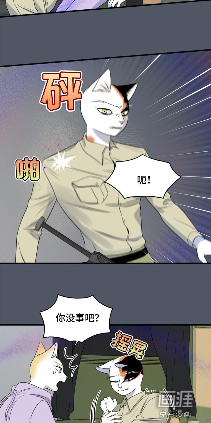 第78章：【第二季】中弹